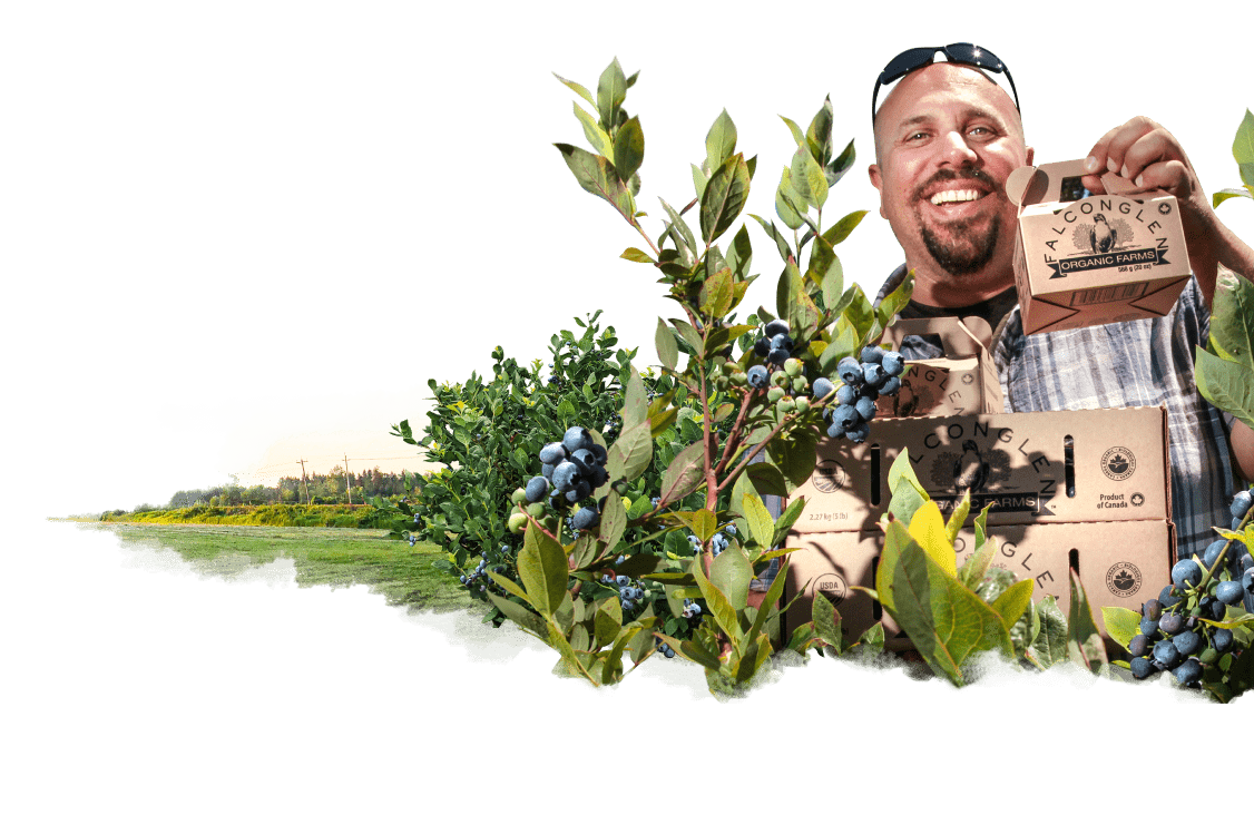 Paul Falcon holding boxes of Falconglen organic blueberries