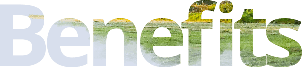 Benefits section title