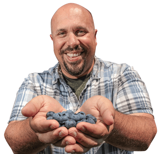 Paul Falcon holding organic blueberries in his hands