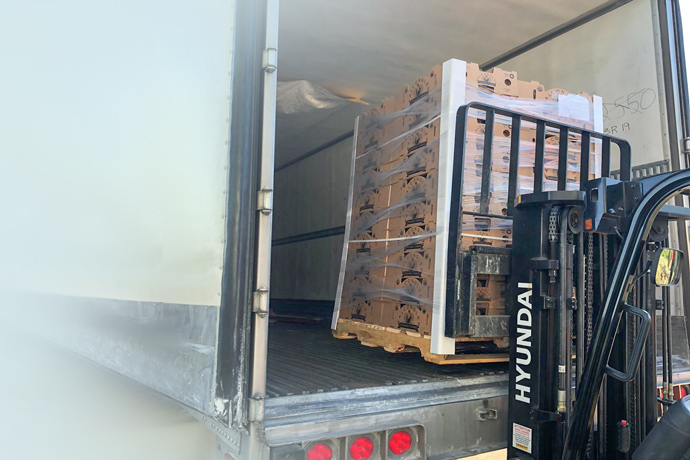 Boxes of Falconglen organic blueberries being loaded on to a transport truck